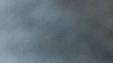 Empleado afroamericano discapacidad esclavo