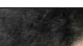 Luis Flores y Aliaga Guillermo.