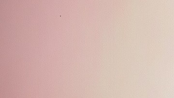 alcohol