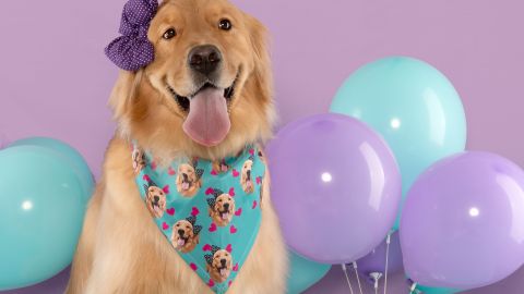 Youtuber video perro globos