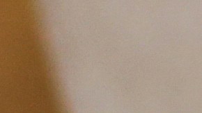 Excremento hamburguesa McDonald's Nueva Jersey