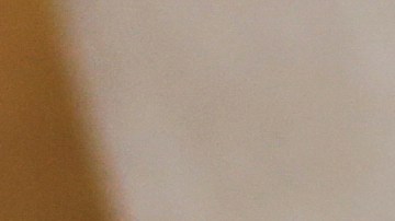 Excremento hamburguesa McDonald's Nueva Jersey