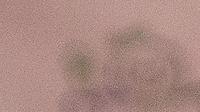 Los neoyorquinos pueden obtener un vale gratis de ShackBurger cuando se vacunen.