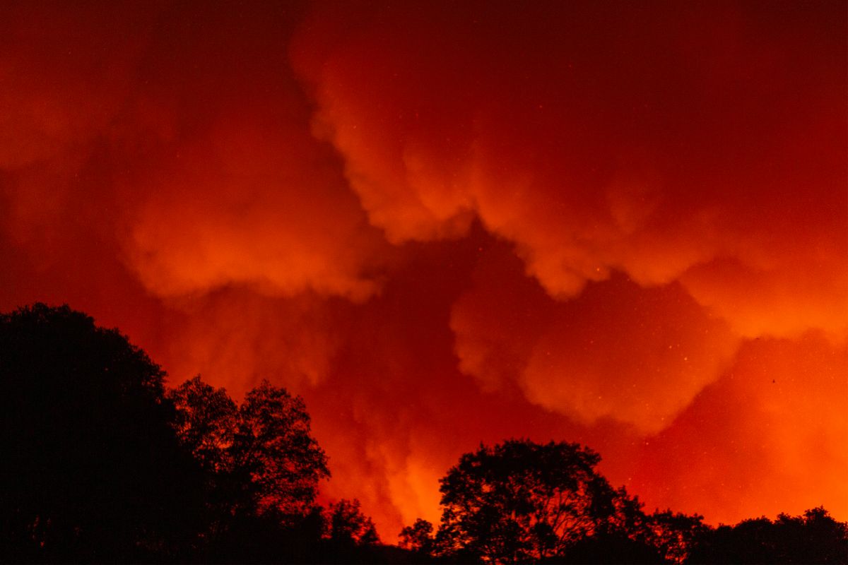 Bomberos controlan incendio forestal al sur de New Jersey que ha