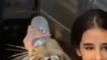 La policía recuperó a India.