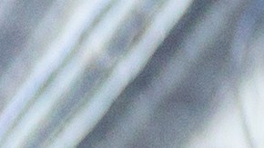 Indígena zapoteco gana beca en Harvard