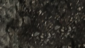 Indigente habitación viral