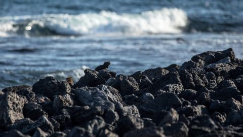 Islas Galápagos