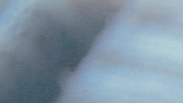 Rescatan a anciana en CDMX que era maltratada por su sobrino