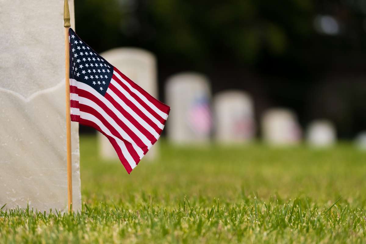 Cual Es La Diferencia Entre Memorial Day Y Veterans Day Y Por Que Se Conmemoran En Dias Distintos El Diario Ny