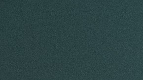 Mujer zombie Seattle