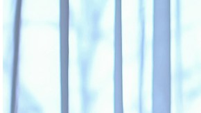 obesidad y depresión