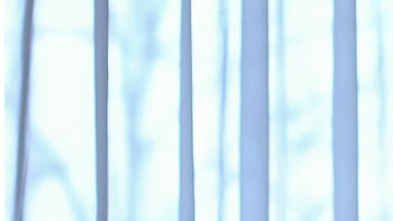 obesidad y depresión