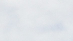 Celebración 5 de mayo