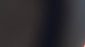 Pastel anciana mordida viral