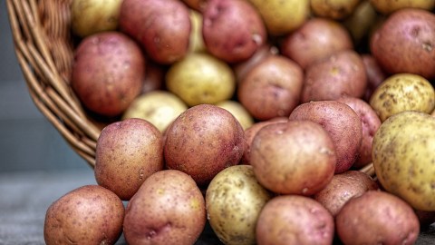 Papas