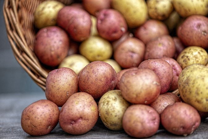 Papas
