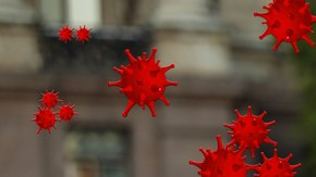 El uso de los suplementos vitamínicos no garantiza que se evite el contagio. Pero sin duda, son indispensables para reforzar el sistema inmune.