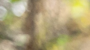 Tesoro enterrado robo Mundial Rusia 2018