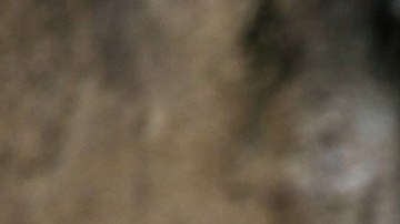 Víctor Cuevas huyó con "India".