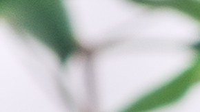 Video viral historia YouTube