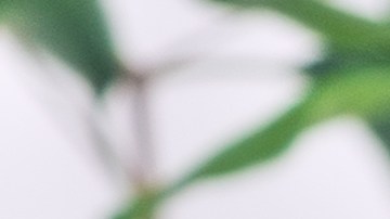 Video viral historia YouTube