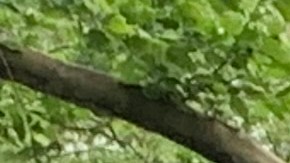 Junto al Defensor del Pueblo, Jumaane Williams, lanzan grupo de trabajo para promover estrategias contra el trauma en escuelas de Nueva York