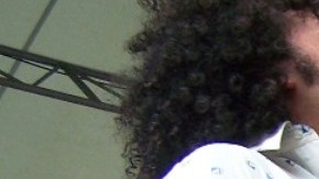 Concierto de verano en Central Park, NYC.