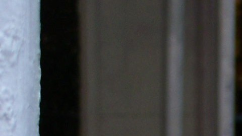 Escena criminal en Nueva York/Archivo.