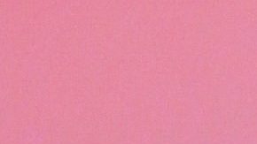 María Celeste Arrarás.