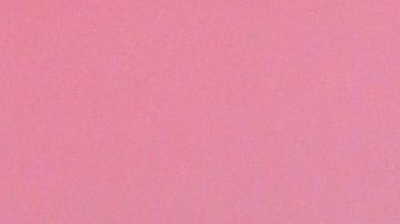 María Celeste Arrarás.