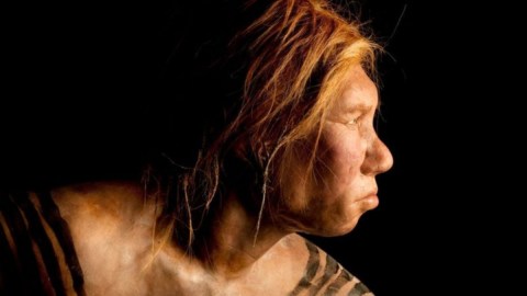 neandertales