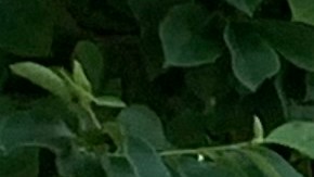 Exigen invertir más de $100 millones en inmigrantes dentro de planes de recuperación de NYC