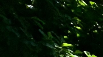 Millie Arroyo, directora de programas de la organización Health People