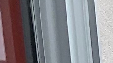 Centros de ancianos de Nueva York reinician actividades en sus espacios interiores tras feroz ataque del COVID-19