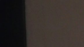 Adamari López presumió su "pechonalidad" con profundo escote