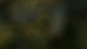 Adamari López presume los eventos familiares a los que ha ido a pocos días de haber anunciado su separación de Toni Costa.