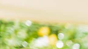 Advertorial-Hero-Image-1