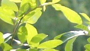 Ex novio de Adamari López le escribe en su cuenta Instagram y se desatan los rumores de nuevo romance.