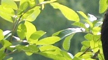 Ex novio de Adamari López le escribe en su cuenta Instagram y se desatan los rumores de nuevo romance.