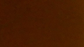 Este martes el libro se publicó para la preventa en internet a $18 dólares en ambos sitios web, pero tiempo después se bajó de las dos páginas.