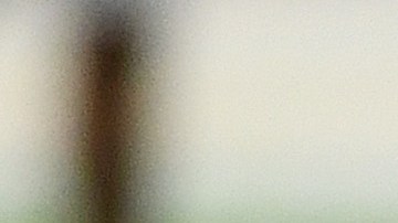 Carl Nassib revela publicamente que es homosexual