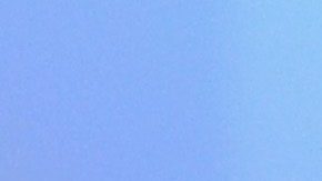 Hijos de Pita Saavedra, tía de Chiquis, están dispuestos a pasar por el detector de mentiras para mandar a su madre a la cárcel.