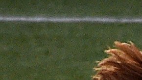 Colombiano Diego Chara pudo ser victima de racismo en la MLS