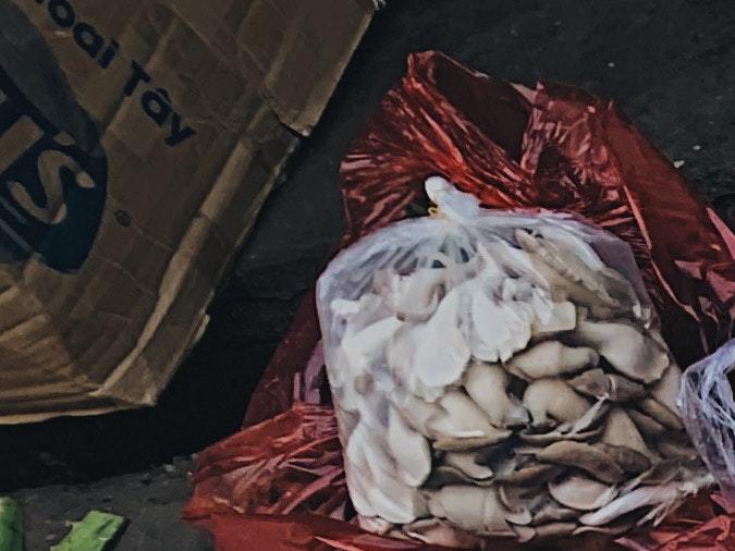 Dieta basada en plantas