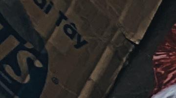 Dieta basada en plantas