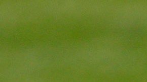 Emerson, nuevo fichaje del Barcelona