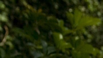 Esteban Loaiza, ex de Jenni Rivera, hablará con Univision en una entrevista exclusiva pero no nombrará a Chiquis Rivera.