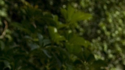 Esteban Loaiza, ex de Jenni Rivera, hablará con Univision en una entrevista exclusiva pero no nombrará a Chiquis Rivera.