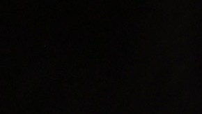 Floyd Mayweather se enfrentó a Logan Paul